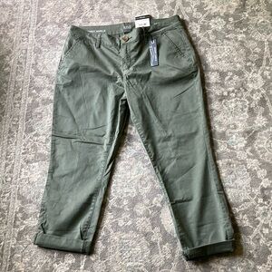 Ana Skinny Ankle Olive Chinos 30/10 NWT